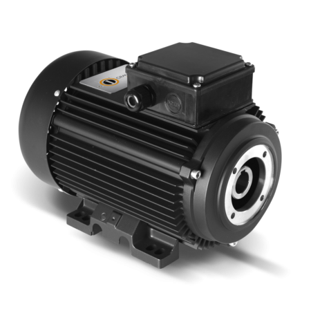 Электродвигатель IMM 112 M4Y3 PB3 ФЛАНЕЦ 87 (4,0 кВт, полый вал, 1410 об/мин)